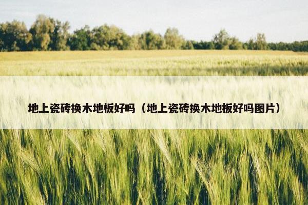 地上瓷砖换木地板好吗（地上瓷砖换木地板好吗图片）