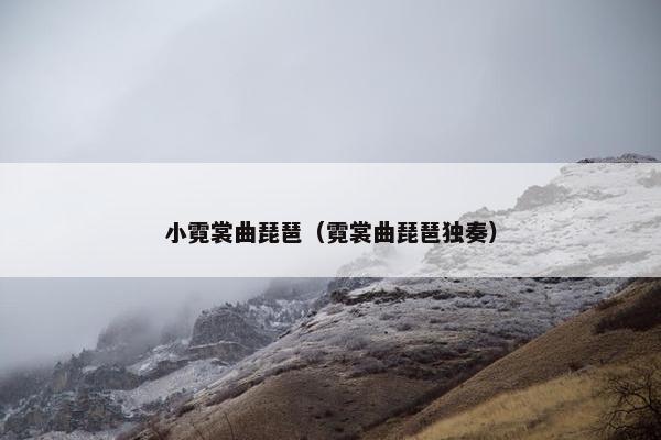 小霓裳曲琵琶(霓裳曲琵琶独奏) 小霓裳曲琵琶(霓裳曲琵琶独奏)