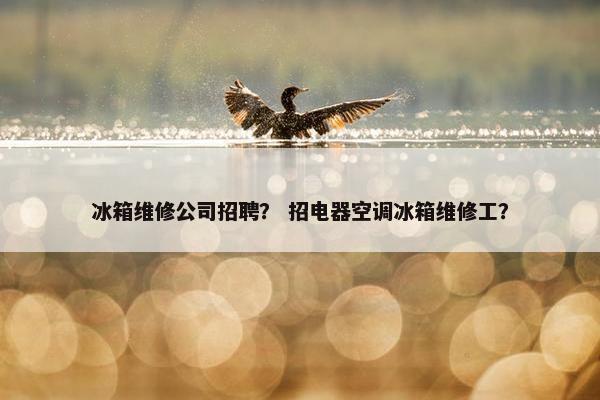 冰箱维修公司招聘？ 招电器空调冰箱维修工？