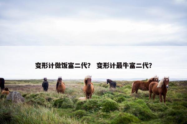 变形计做饭富二代？ 变形计最牛富二代？