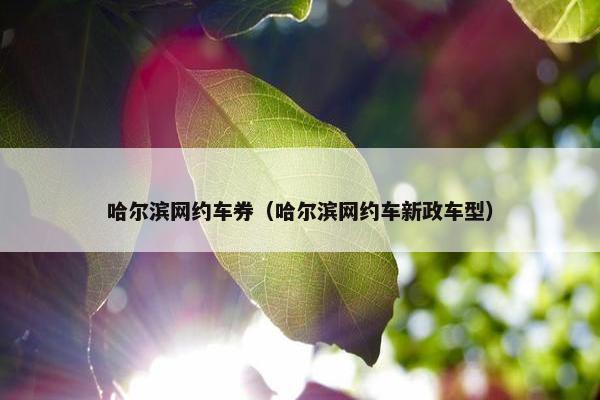 哈尔滨网约车券（哈尔滨网约车新政车型）