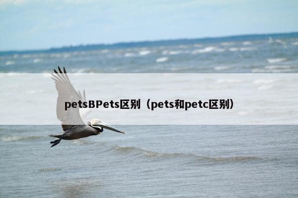 petsBPets区别(pets和petc区别) petsBPets区别(pets和petc区别)