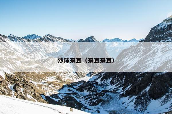 沙球采耳(采耳采耳) 沙球采耳(采耳采耳)