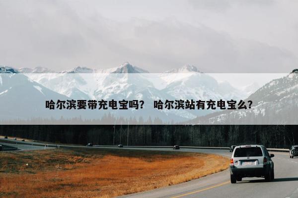 哈尔滨要带充电宝吗？ 哈尔滨站有充电宝么？