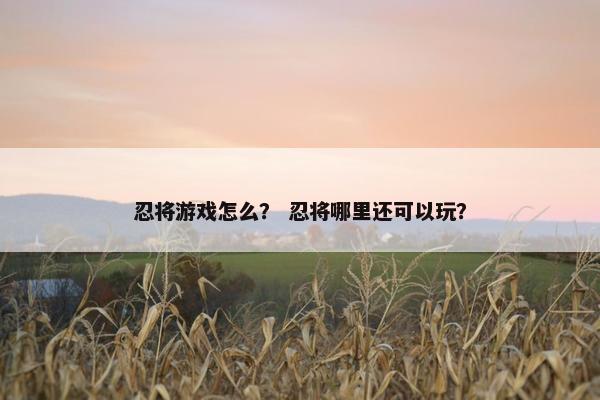 忍将游戏怎么? 忍将哪里还可以玩? 忍将游戏怎么? 忍将哪里还可以玩?