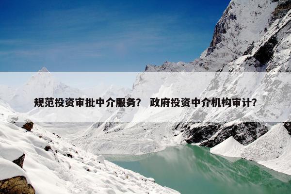 规范投资审批中介服务? 政府投资中介机构审计? 规范投资审批中介服务? 政府投资中介机构审计?