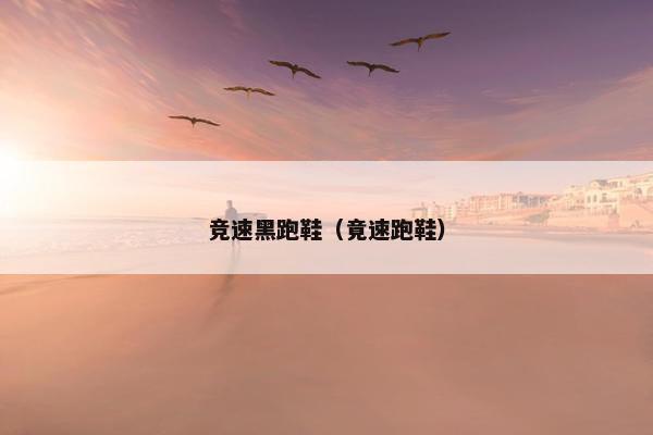 竞速黑跑鞋(竟速跑鞋) 竞速黑跑鞋(竟速跑鞋)