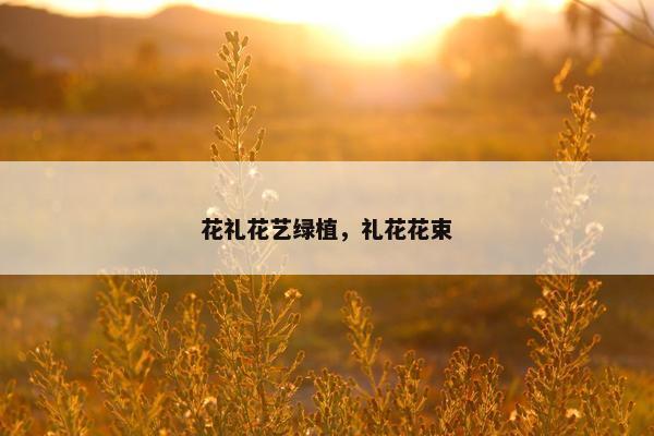 花礼花艺绿植,礼花花束 花礼花艺绿植,礼花花束