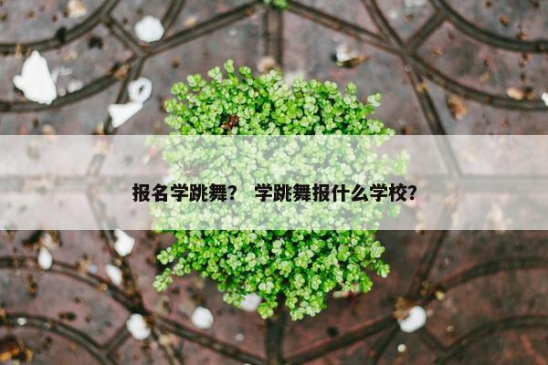 报名学跳舞? 学跳舞报什么学校? 报名学跳舞? 学跳舞报什么学校?