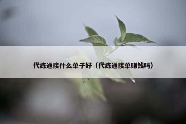代练通接什么单子好(代练通接单赚钱吗) 代练通接什么单子好(代练通接单赚钱吗)