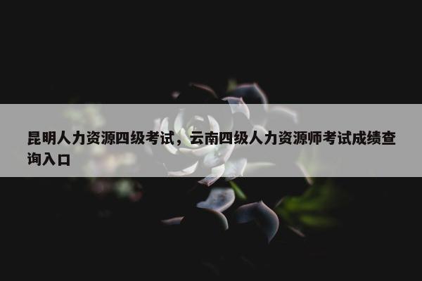 昆明人力资源四级考试，云南四级人力资源师考试成绩查询入口