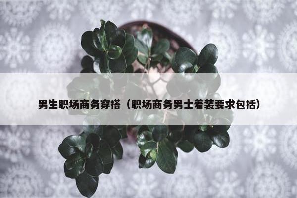 男生职场商务穿搭（职场商务男士着装要求包括）