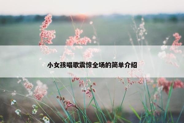 小女孩唱歌震惊全场的简单介绍 小女孩唱歌震惊全场的简单介绍