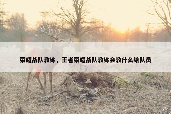 荣耀战队教练，王者荣耀战队教练会教什么给队员