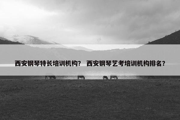 西安钢琴特长培训机构？ 西安钢琴艺考培训机构排名？