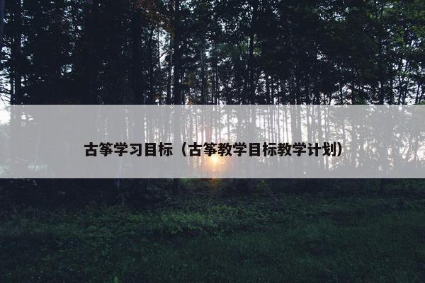 古筝学习目标（古筝教学目标教学计划）