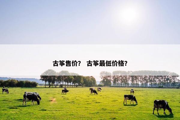 古筝售价？ 古筝最低价格？