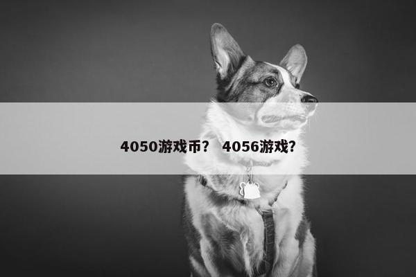 4050游戏币？ 4056游戏？